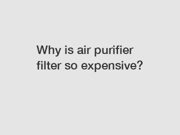Why is air purifier filter so expensive?