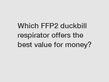 Which FFP2 duckbill respirator offers the best value for money?