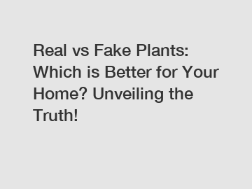Real vs Fake Plants: Which is Better for Your Home? Unveiling the Truth!