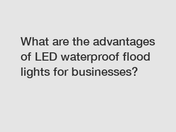 What are the advantages of LED waterproof flood lights for businesses?
