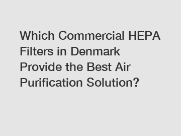 Which Commercial HEPA Filters in Denmark Provide the Best Air Purification Solution?