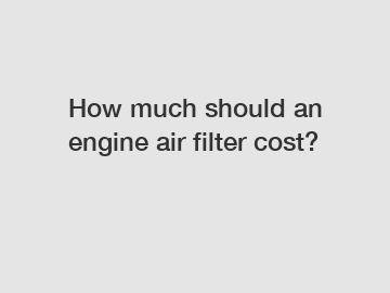 How much should an engine air filter cost?