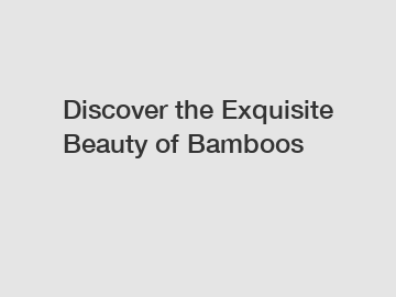 Discover the Exquisite Beauty of Bamboos