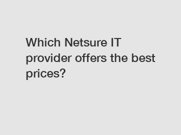 Which Netsure IT provider offers the best prices?