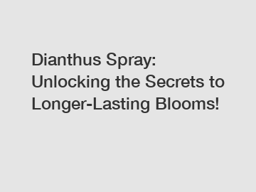 Dianthus Spray: Unlocking the Secrets to Longer-Lasting Blooms!