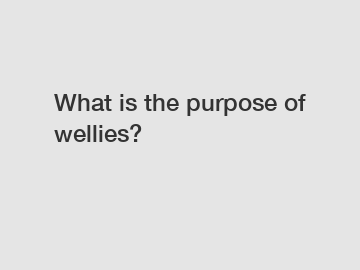 What is the purpose of wellies?
