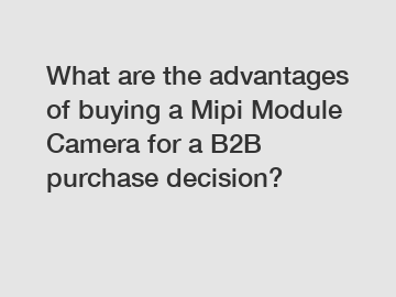 What are the advantages of buying a Mipi Module Camera for a B2B purchase decision?