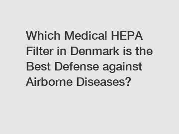 Which Medical HEPA Filter in Denmark is the Best Defense against Airborne Diseases?