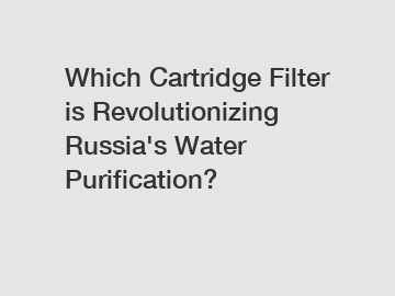 Which Cartridge Filter is Revolutionizing Russia's Water Purification?