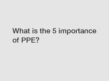 What is the 5 importance of PPE?