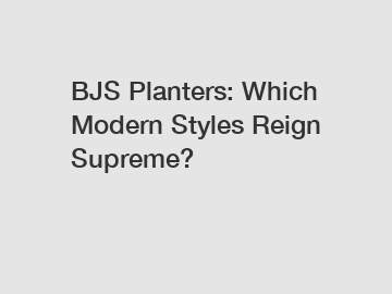BJS Planters: Which Modern Styles Reign Supreme?