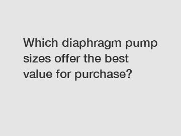 Which diaphragm pump sizes offer the best value for purchase?
